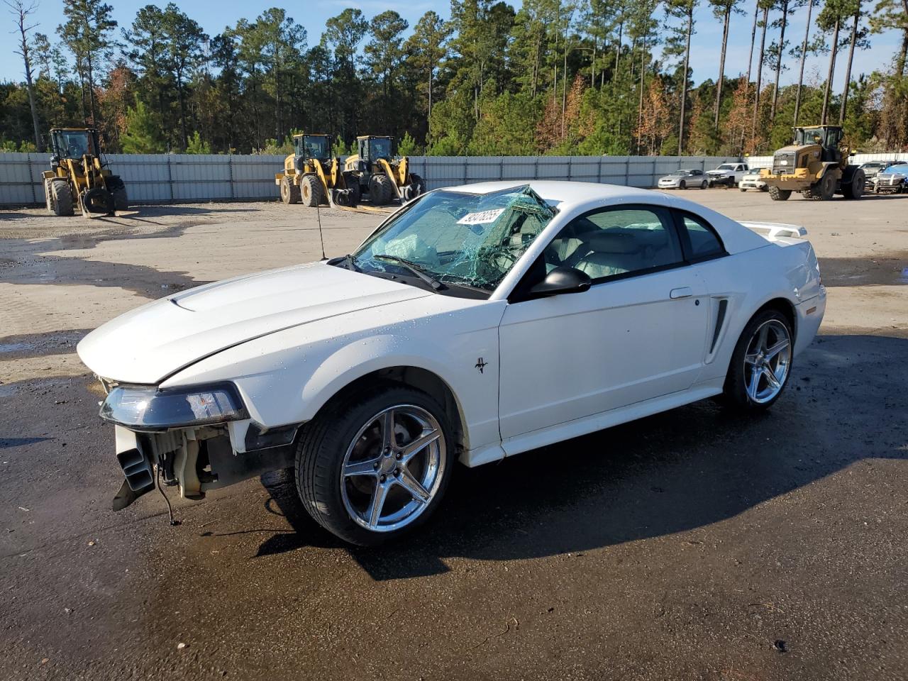 Ford Mustang Image 1