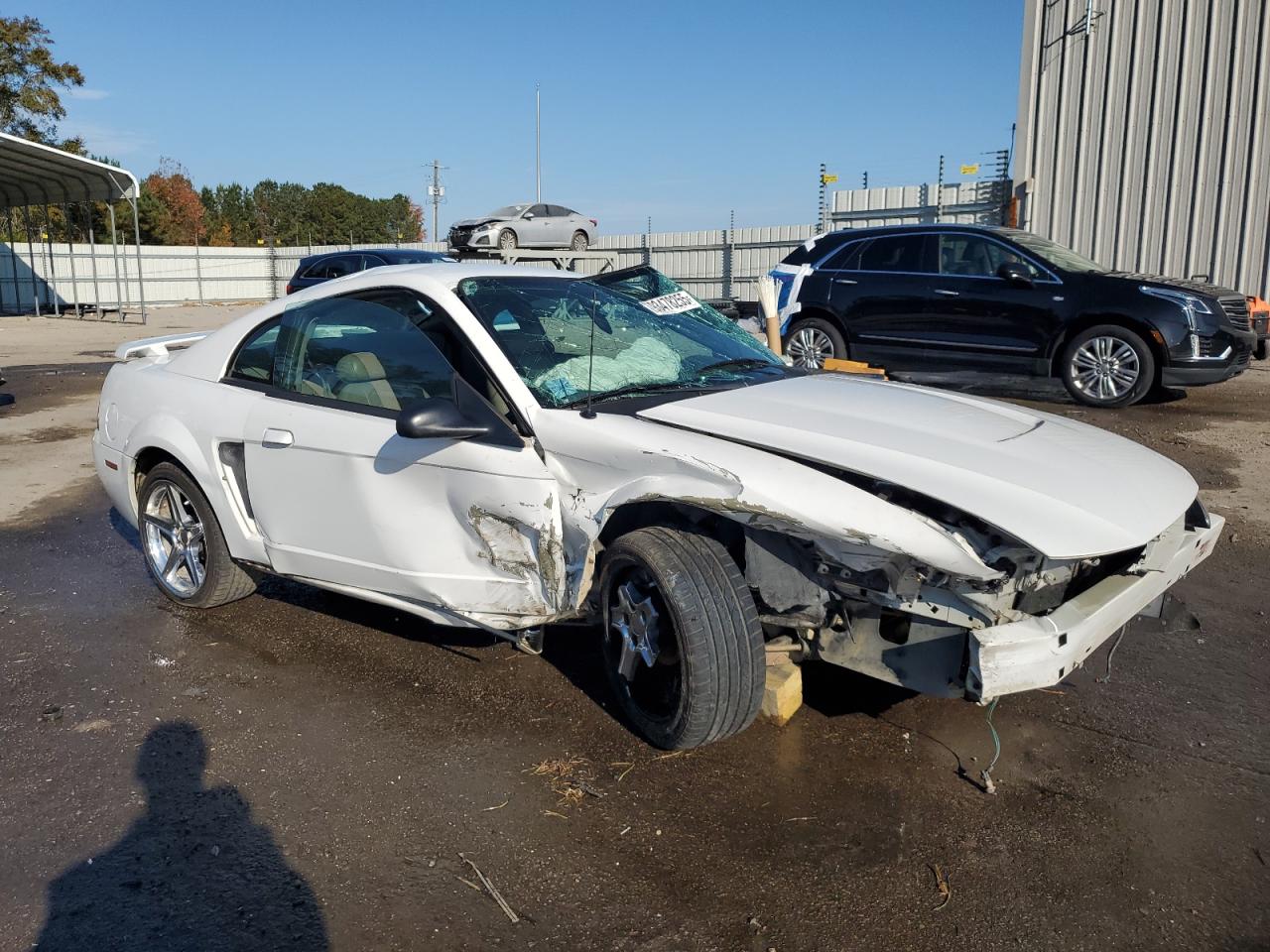 Ford Mustang Image 3