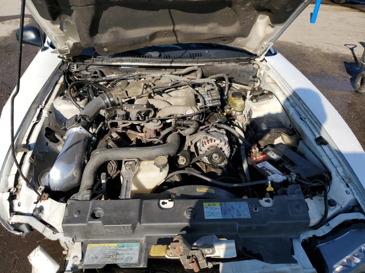 Ford Mustang Image 5