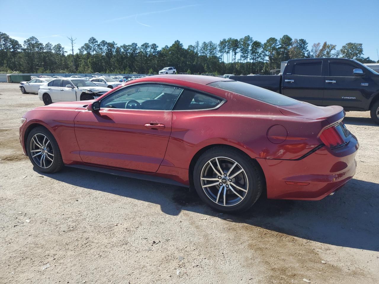 Ford Mustang Image 3