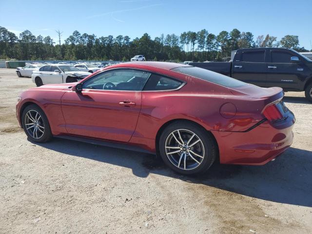 Ford Mustang Image 3