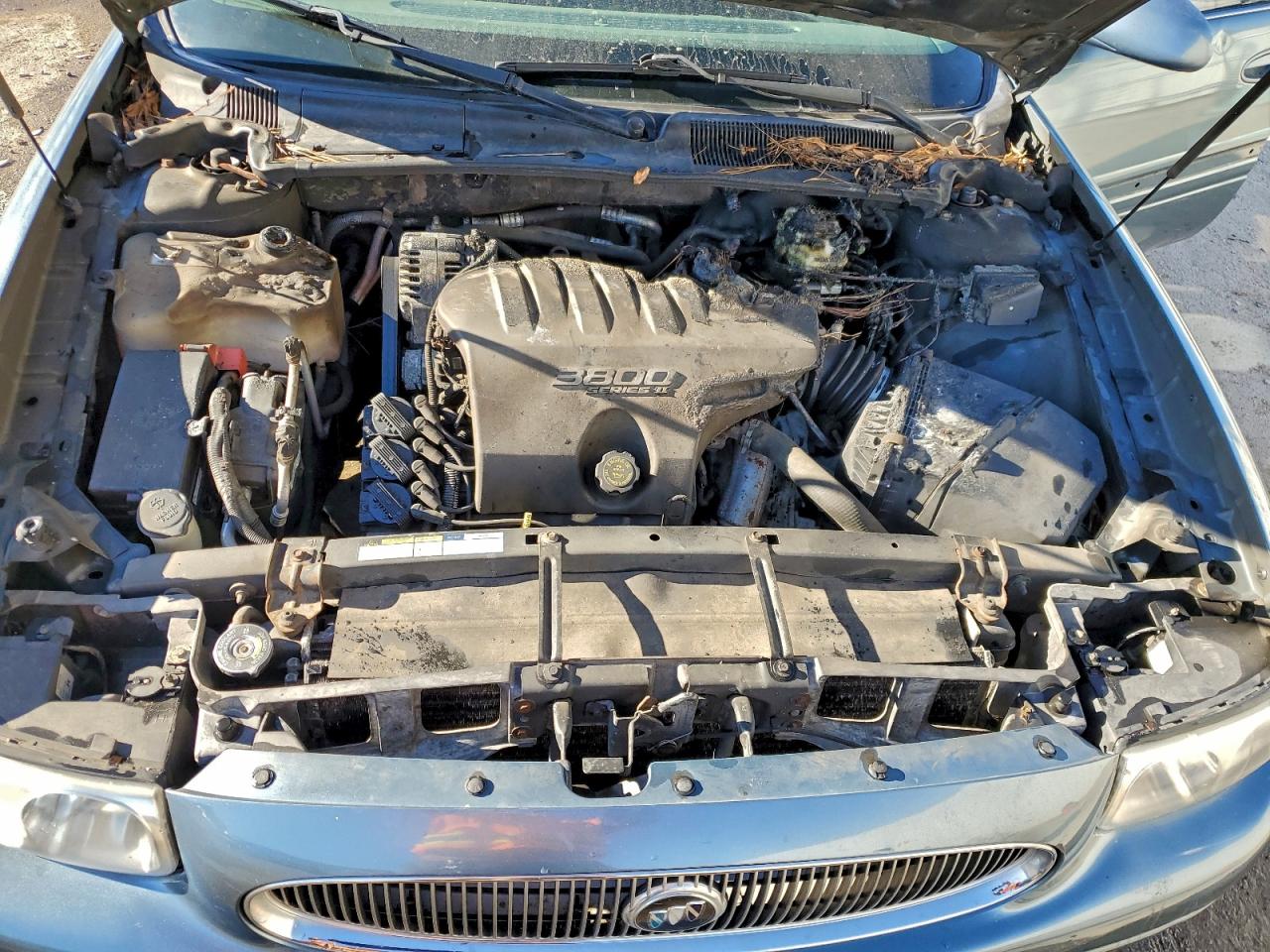 Buick LeSabre Custom Image 2