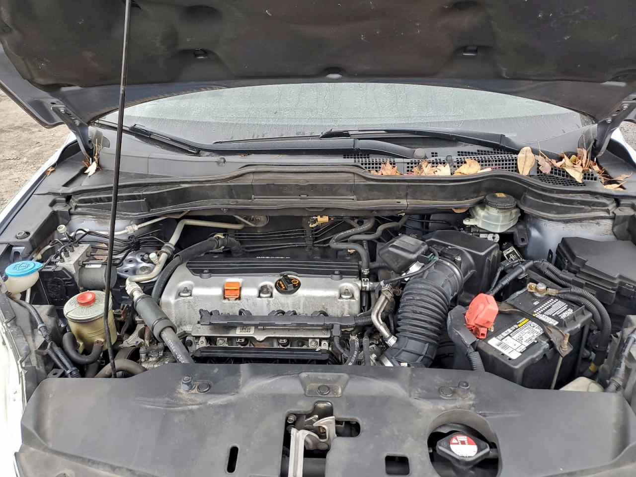 Honda Crv Ex Image 5