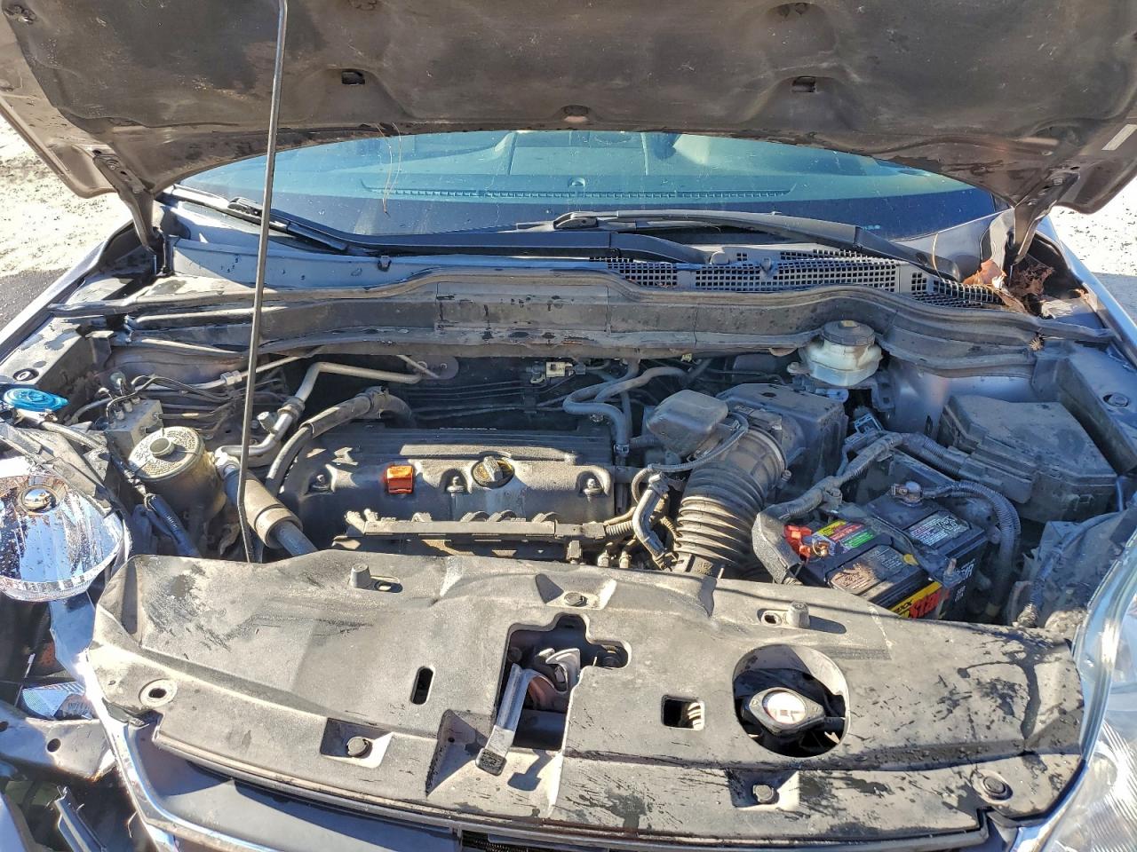 Honda Crv Lx Image 7