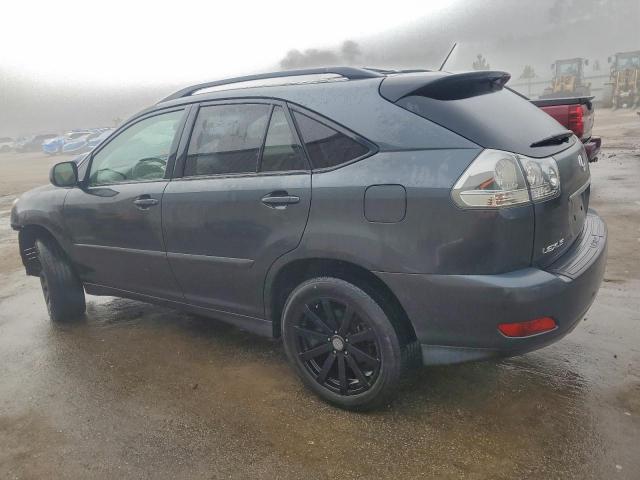 Lexus RX 330 Image 13